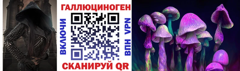 Галлюциногенные грибы Psilocybine cubensis  Слюдянка 