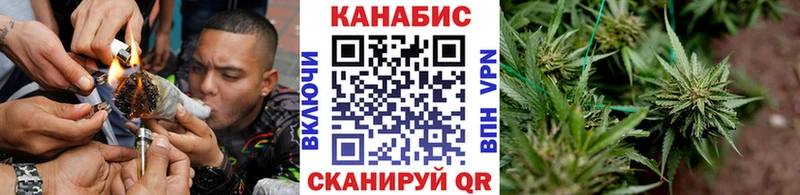 Бошки марихуана семена  где можно купить наркотик  Слюдянка 